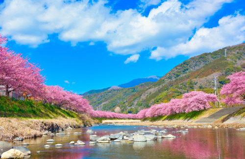 Kisami Apartamento | Ramjet Kisami Beach House Shimoda - Enjoy Sakura, Beach and BBQ!