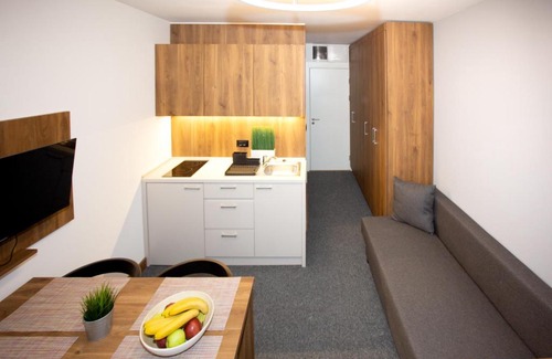 Kopaonik Apartamento | Ramonda apartman Vila Bela Reka 50m from Gondola - free parking acces