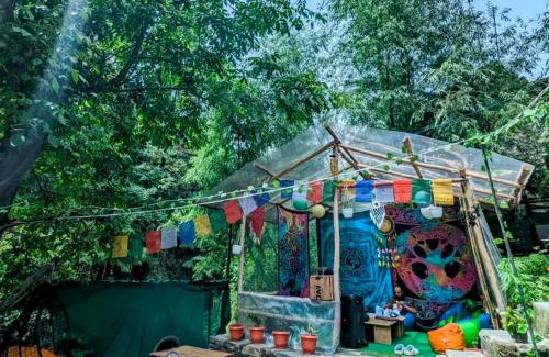 Jibhi Casa | Rana home stay