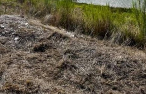 Junction Cabina | Ranch House on the river! 3-Bedroom, 1-Bathroom