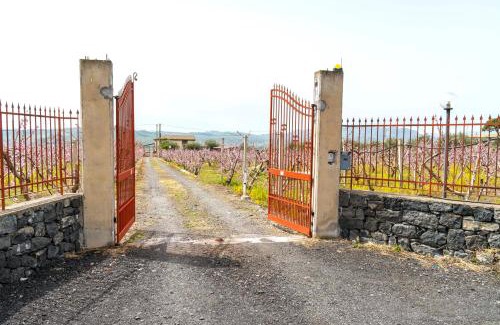 Paterno Casa | Ranch Simeto