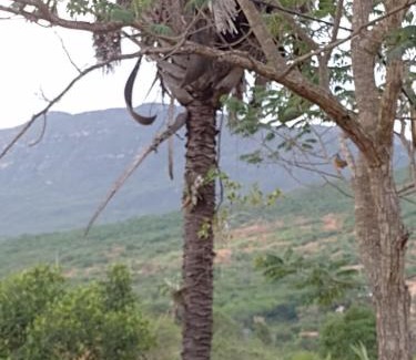 Abaira Casa | Rancho de montanha