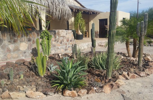 San Ignacio Casa | Rancho Espinoza ubicado en un oasis