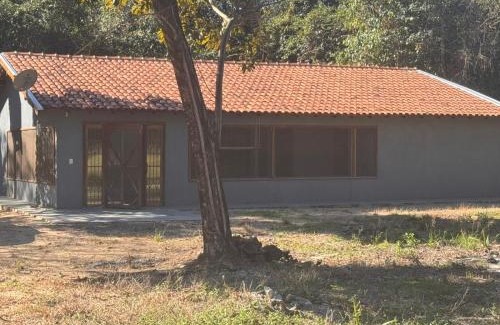 Coxim Otro | Rancho KurtMel