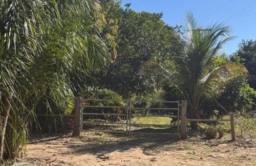 Coxim Otro | Rancho KurtMel