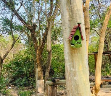 Aquidauana Casa | Rancho Recanto das Águas Camisão