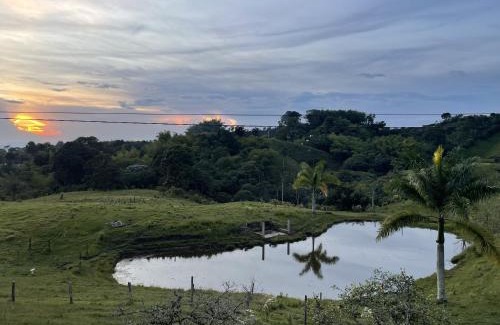 Filandia Casa | Rancho Ventura