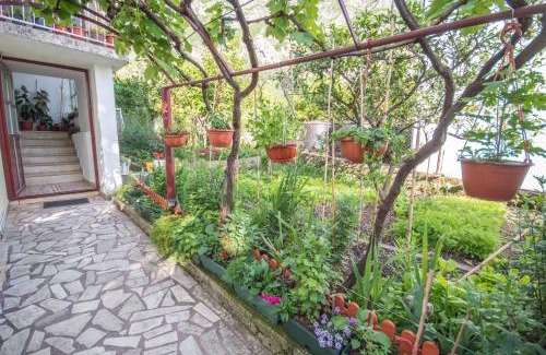 Risan Apartamento | Ranko Apartments