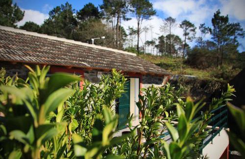 Calheta Casa | Raposeira Chloe T2