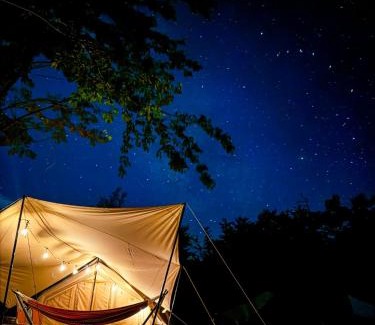 Shirasu Otro | Rasta Camp Hakushu - Vacation STAY 03221v