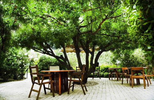Aegina Hotel | Rastoni Hotel Aegina