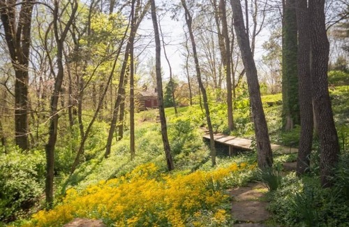 Washington Cabina | Raven's View Retreat - 1830s Cabin Overlooking Missouri River - 5 bed/3.5 bath