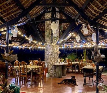 Moalboal Complejo | Ravenala Beach Bungalows