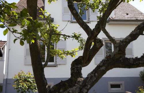 Robertsau Casa | Ravissant 3P 90m2 au calme, proche du parlement européen