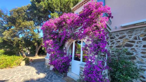 Le Rayol Apartamento | Rayol vue mer jardin plage à pied - St-Tropez 25km