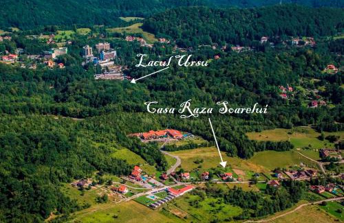 Sovata Casa | Raza Soarelui