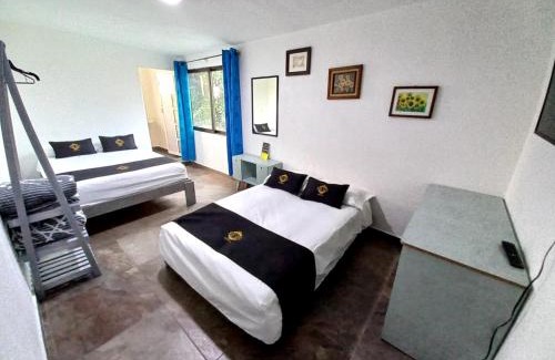 Popotla Casa | RCH Suite
