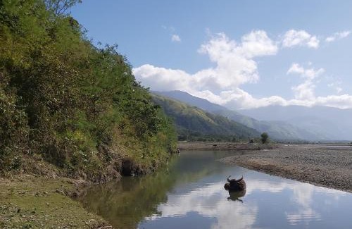 Gabaldon Complejo | Rea's Bamboo Resort