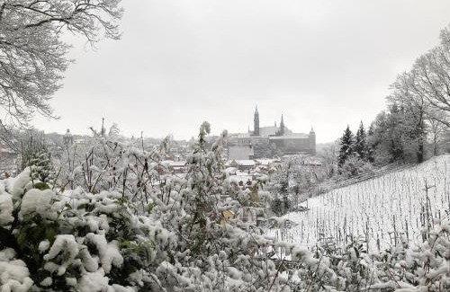 Meissen Apartamento | Rebenhaus Meißen