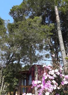 Sao Francisco de Paula Apartamento | Recanto das Gralhas