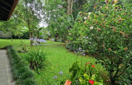 Ribeirao Pires Casa | Recanto do aconchego São Vicente