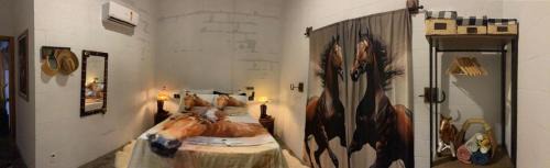 Sinop Casa | Recanto do sossego