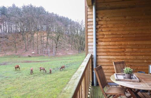 Maaseik Apartamento | Recreatiedomein Warredal - The Lodge