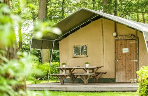 Neede Otro | Recreatiepark Den Blanken