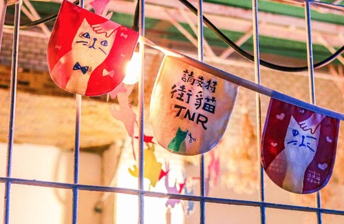 Tainan City Centre Casa | Red Letter Day