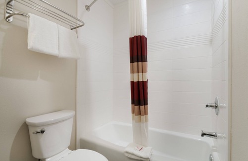 Spring Hotel | Red Roof Inn Houston – Spring North