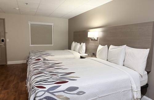 Swansea Hotel | Rodeway Inn Swansea - Somerset