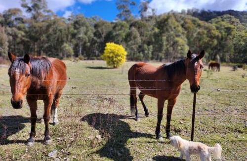 Hartley Casa | Redgate Homestead