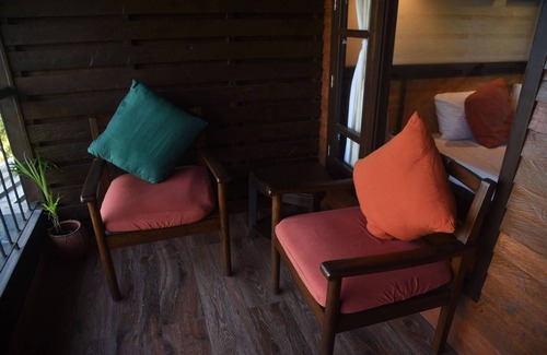 Geyzing Complejo | RedPanda Jungle Camp