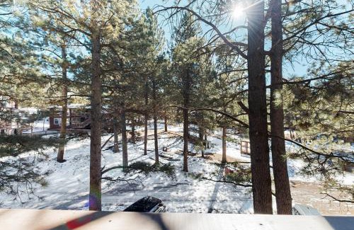 Angel Fire Apartamento | Redwood Commons B12