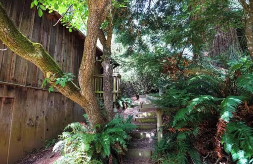Arcata Apartamento | Redwood Hideaway
