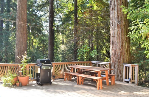 Monte Rio Cabaña | Redwood Retreat: Charming Alpine Cottage