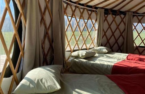 Haslemere Casa | Redwood - the BIG yurt
