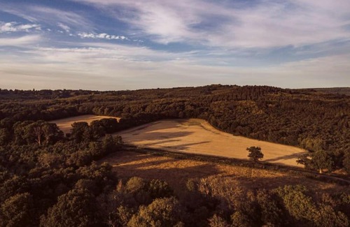 Haslemere Casa | Redwood - the BIG yurt