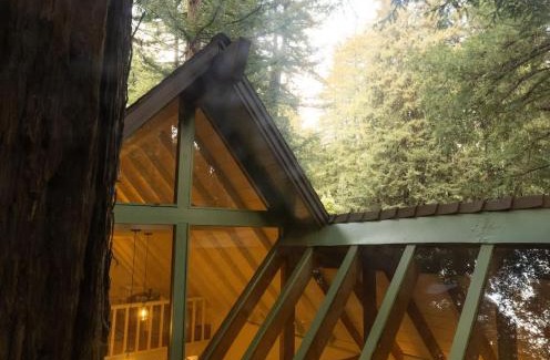 Mill Valley Casa | Redwood Treehouse Retreat Near Muir Woods w Deck