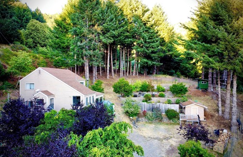 Shelter Cove Casa | Redwoods & Waves- An experience. Disc Golf, Putting Green, Beach toys, sleeps 6