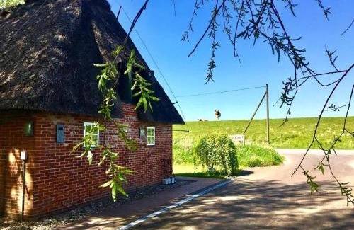 Norderfriedrichskoog Casa | Reetdachhaus Für Erholsamen Familienurlaub