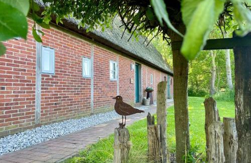 Norderfriedrichskoog Casa | Reetdachhaus Für Erholsamen Familienurlaub