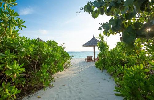 Filaidhoo Complejo | Reethi Faru Resort - Stay 5 Nights or more & Enjoy a Free Sunset Cruise