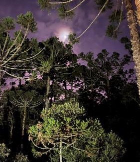 Urubici Chalet De Esquí | Refúgio Abraço das Araucárias