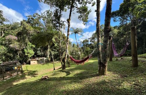 Santo Antonio do Pinhal Apartamento | Refúgio na Mata - Casa de campo