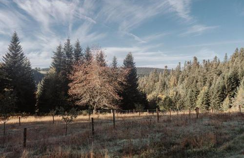 Riotord Casa | Refuge panoramique en Haute-Loire