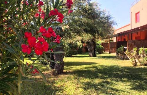 Calambrone Apartamento | Regina Del Mare Holiday Apartments