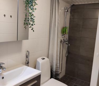 Rovaniemi Apartamento | Reindeer Route Apartment
