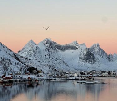 Reine Apartamento | Reine Sea Apartment