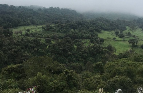 Cuenca Condominio | Rejuvenate in our Cajas Biosphere paradise